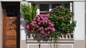 Un bâtiment avec une porte en bois, une fenêtre ornée de fleurs roses et un petit balcon agrémenté de plantes vertes.