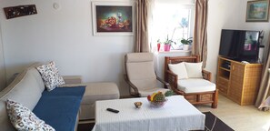 تلفزيون، مدفأة