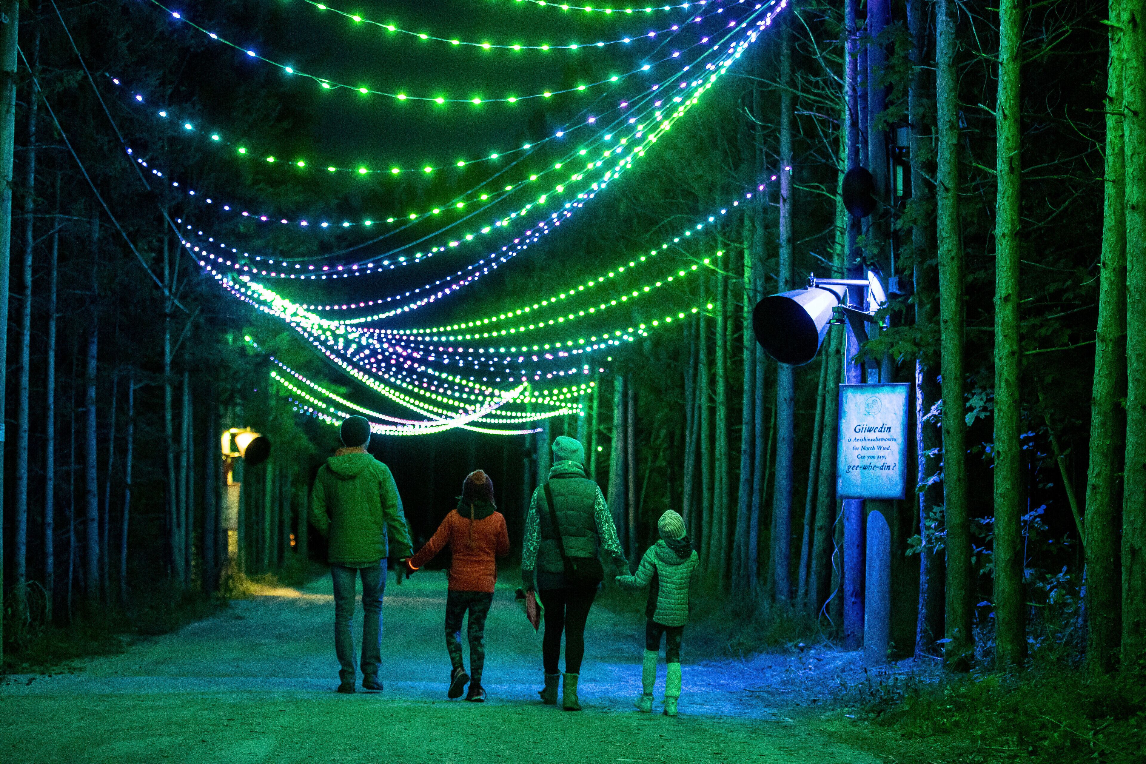 Un sendero bordeado de árboles e iluminado por luces verdes y azules.