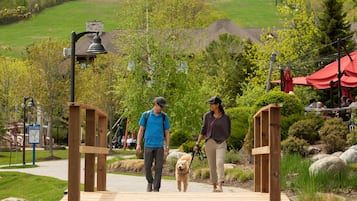 A wooden pedestrian bridge in a park with a dog and two people walking on it.