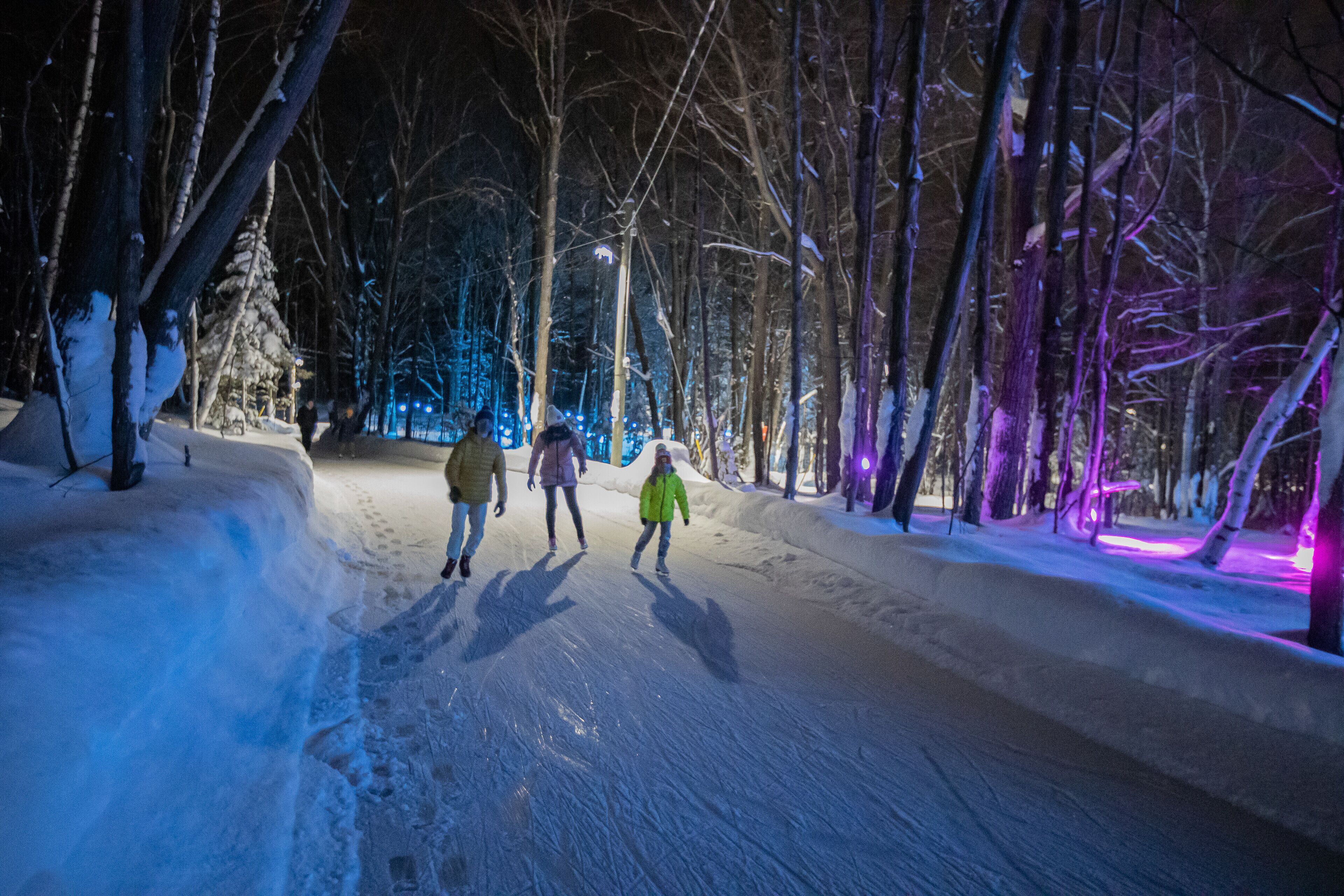 A snowy path with bare trees and illuminated decorations.