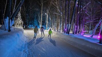 Un sendero nevado con árboles desnudos y decoraciones iluminadas.