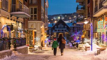 A snow-covered street with buildings on either side, including a sign for 'RENNER'S' and 'Buches Gallery'.