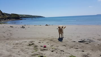 Playa en los alrededores y camastros