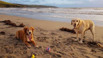 Beach nearby, sun loungers