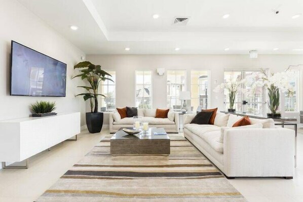 تلفزيون، مشغل دي في دي