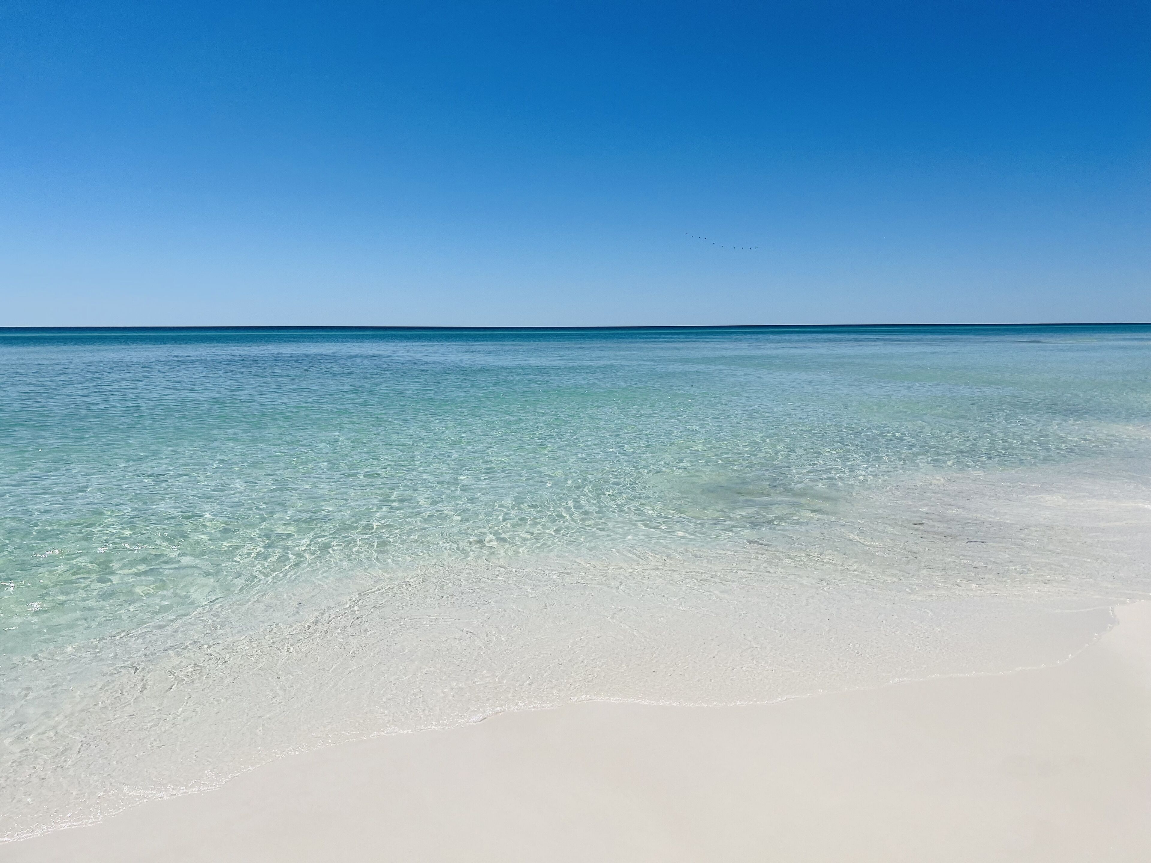 En la playa y camastros 