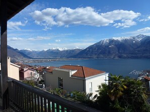 Property grounds - Palm trees, Pool and Panorama: Casa Belsito, Orselina, on Lake Maggiore  (Orselina)