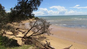 A beach with clear skies, sandy shore, and scattered trees. - Honeysuckle Beach Cottage - Silverleaves (SILVERLEAVES)