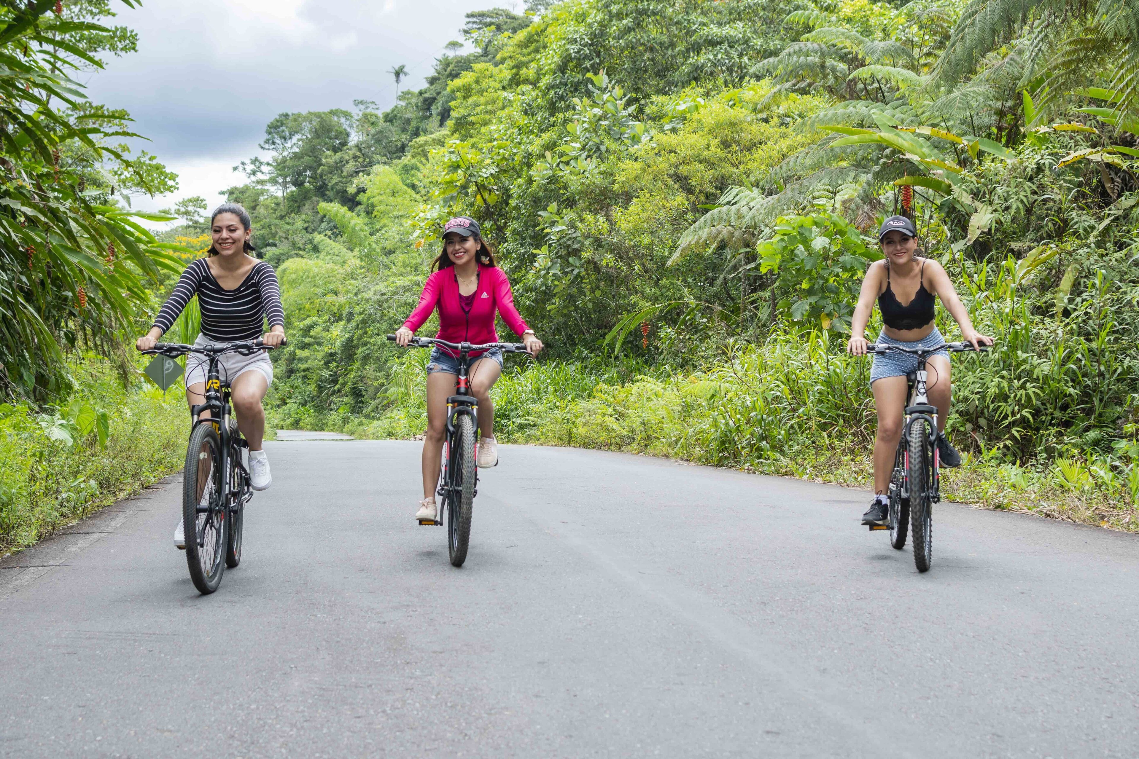 Three people riding bicycles on a paved road surrounded by lush greenery.