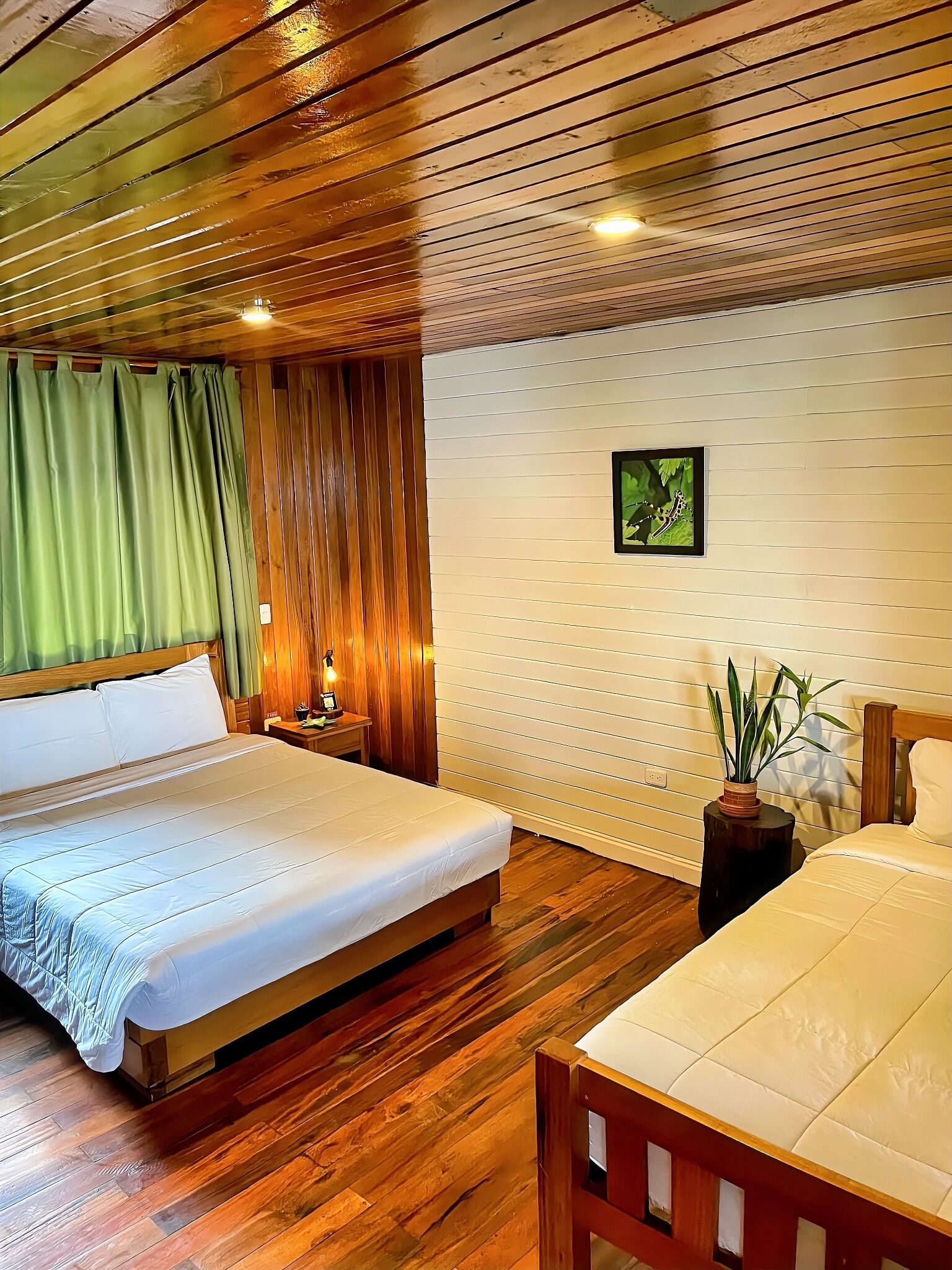 A room with a wooden ceiling, a bed with white bedding, a bedside table with a lamp, a small potted plant, and a framed picture on the wall.