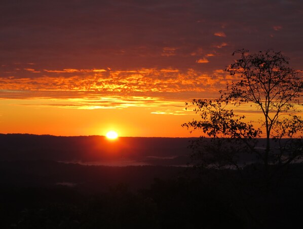Un atardecer con el sol bajo en el horizonte, una silueta de un árbol y una línea de horizonte distante.