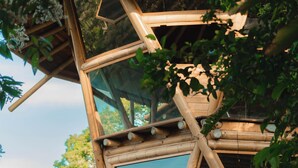 A wooden structure with a glass enclosure, surrounded by lush greenery.