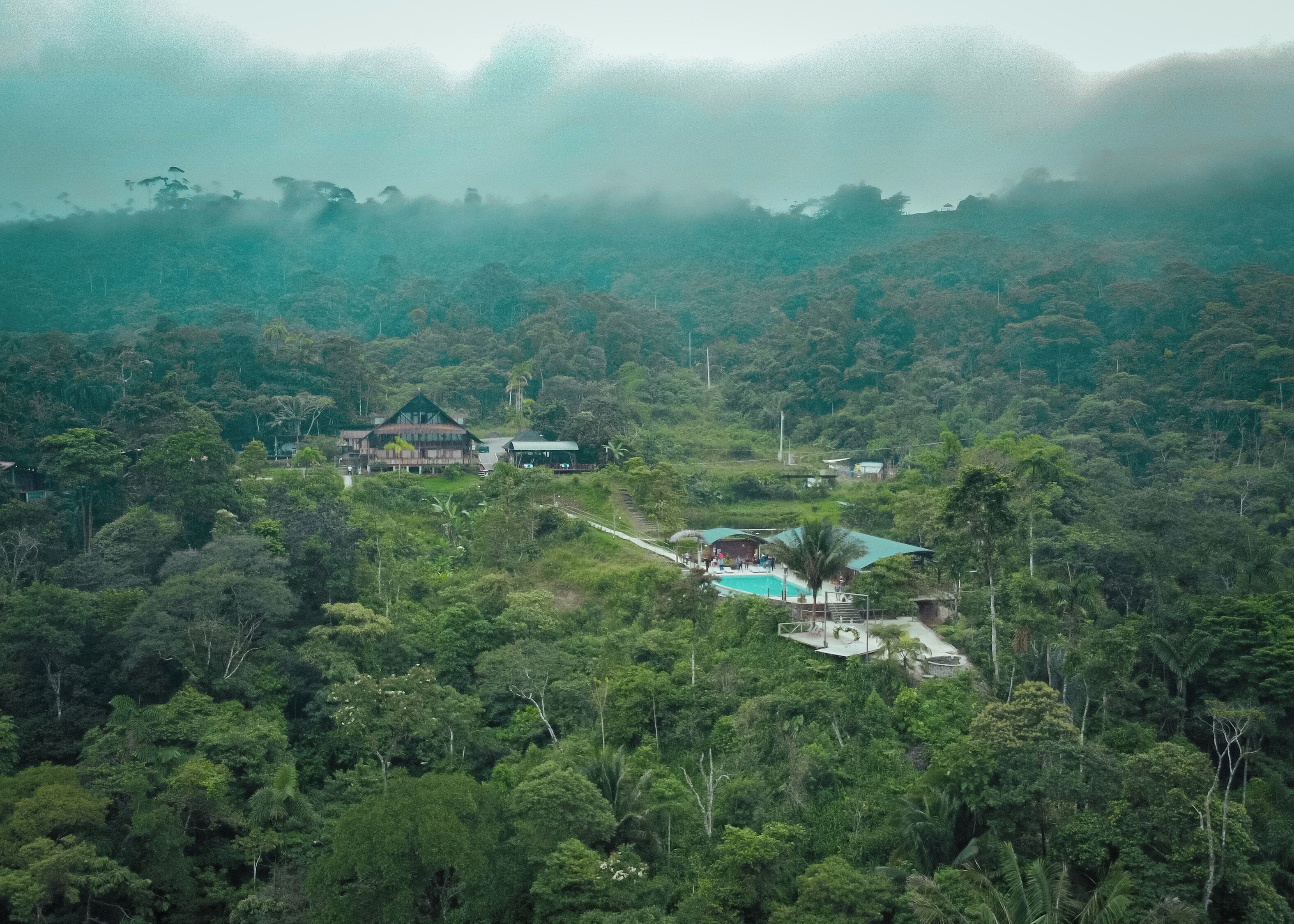 A resort with a pool, surrounded by dense forest.