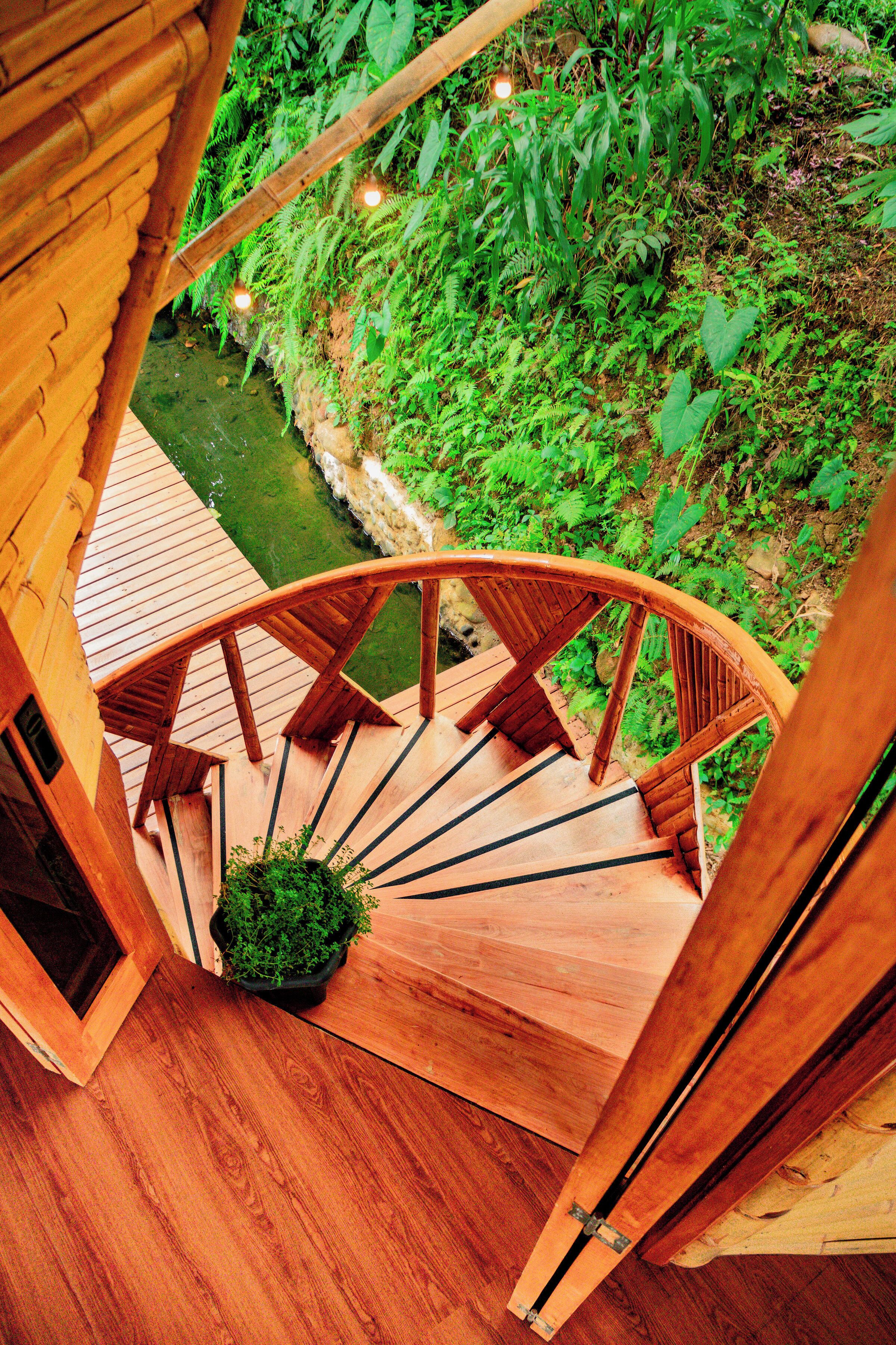 A wooden spiral staircase leading to a lush green garden area with a small pond.