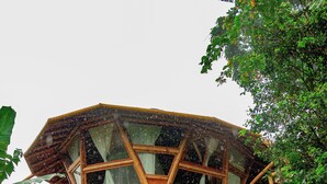 A wooden structure with a geometric design, surrounded by lush greenery and a small stream.