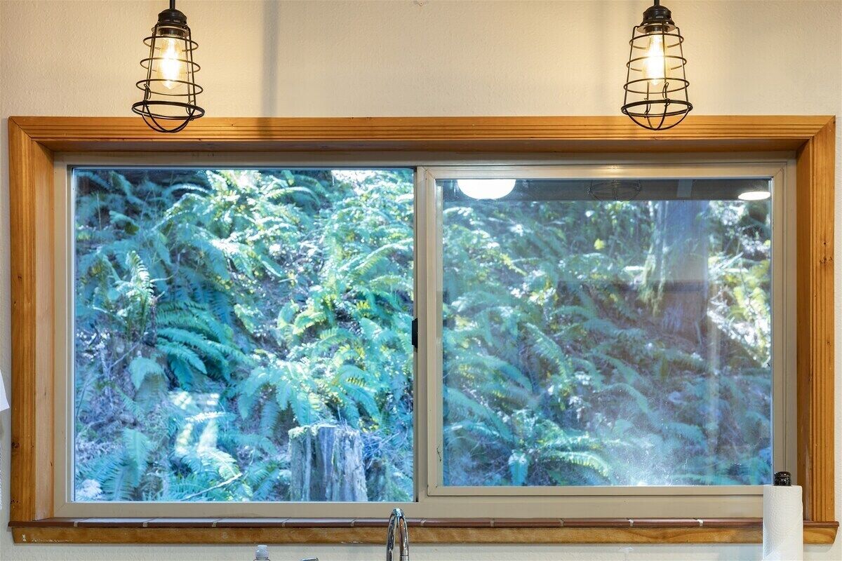 A window with a view of dense green foliage and a waterfall.