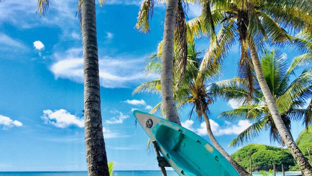 A turquoise surfboard leaning against a palm tree on a beach with clear blue water and a wooden fence in the background. - Malakati Homestay (Nacula Island)
