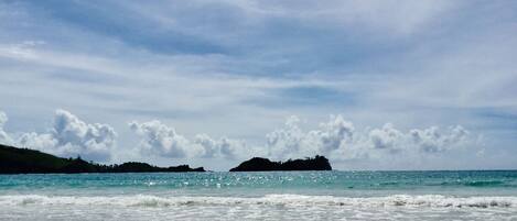 Beach nearby, windsurfing, surfing, sailing