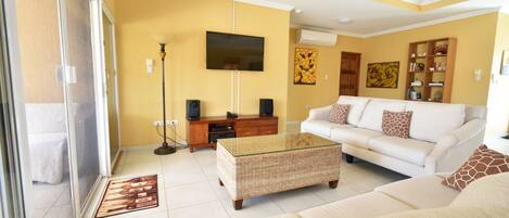 TV, Netflix, streaming services, stereo