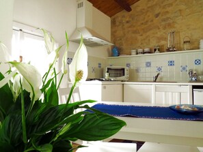 Fridge, oven, stovetop, electric kettle