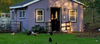 Rainbow Ridge Farms ~ Farmstay Bed and Breakfast