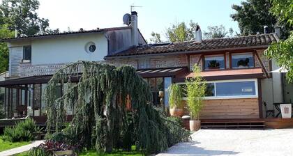 LOFT WITH SWIMMING POOL IN AN AUTHENTIC ROOKERY IN THE HEART OF NATURE