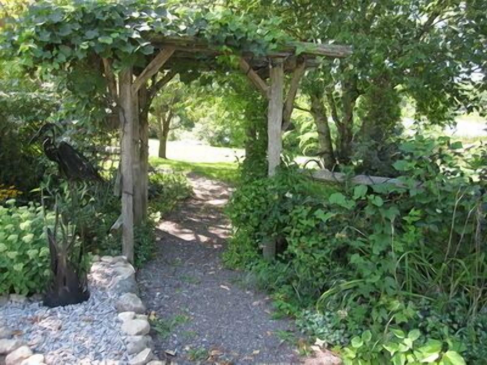 Through the arbour & down the path to the suite entrance.