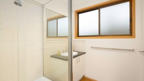 Shower, hair dryer