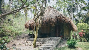 A rustic thatched-roof hut with a stone staircase leading up to it, surrounded by lush greenery and palm trees. - Playa Los Angeles (Santa Marta)