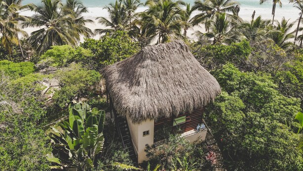 A thatched-roof hut surrounded by lush greenery and palm trees, overlooking a beach. - Playa Los Angeles (Santa Marta)