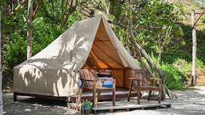 A tent with a bed and two wooden chairs, surrounded by trees and sand. - Playa Los Angeles (Santa Marta)