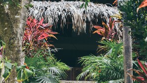 A stone staircase leading to a covered entrance, surrounded by lush tropical foliage. - Playa Los Angeles (Santa Marta)