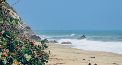 Playa Los Angeles