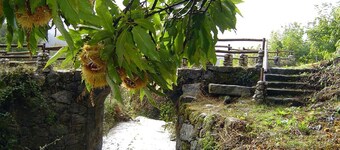 Cottage "La Calleja" à Gredos
