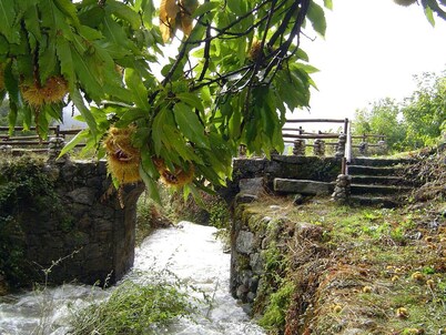 Cottage "La Calleja" in Gredos