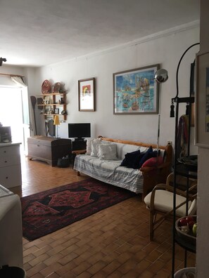 Télévision, cheminée, lecteur de DVD, livres
