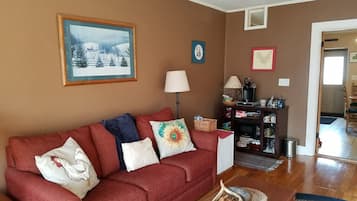 TV, fireplace, books