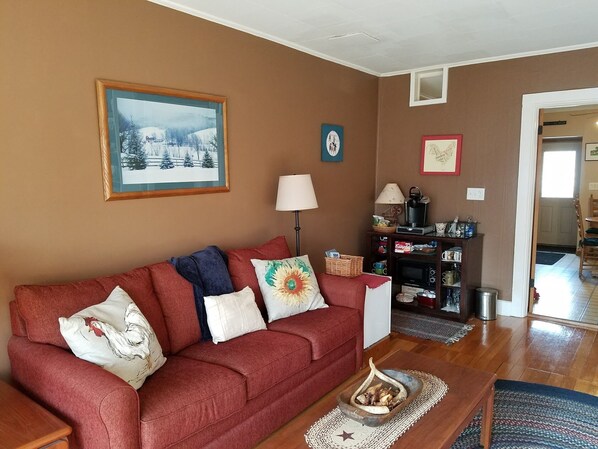 TV, fireplace, books