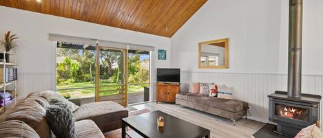 TV, fireplace, video library