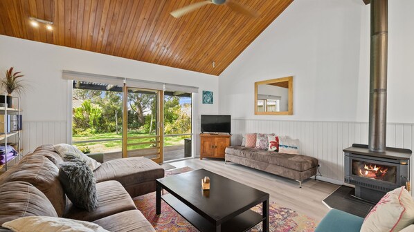 TV, fireplace, video library