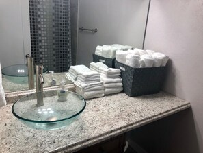 Secador de cabelo, toalhas de banho, papel higiênico 