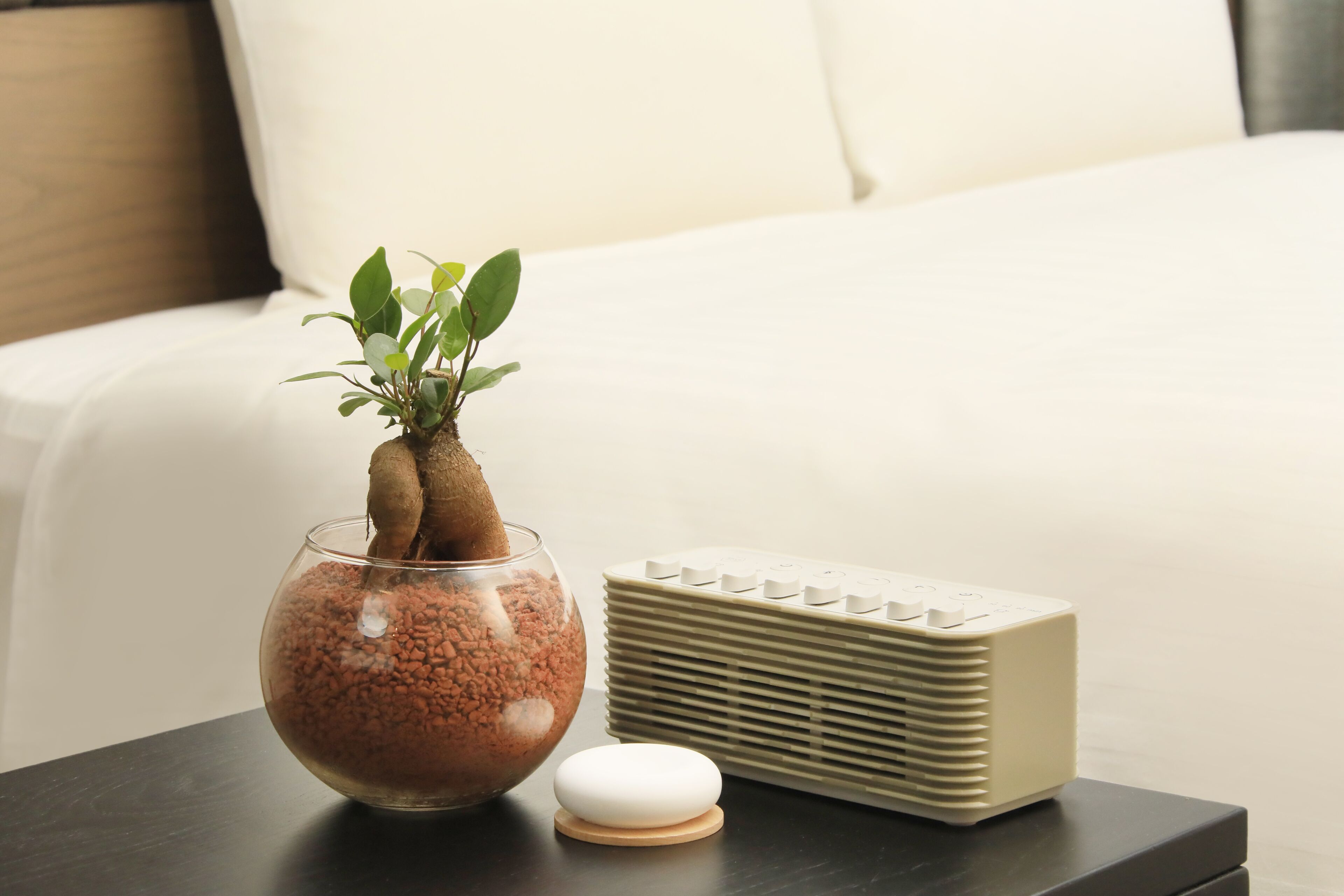 A small potted plant on a bedside table next to a white pillow and a beige speaker.