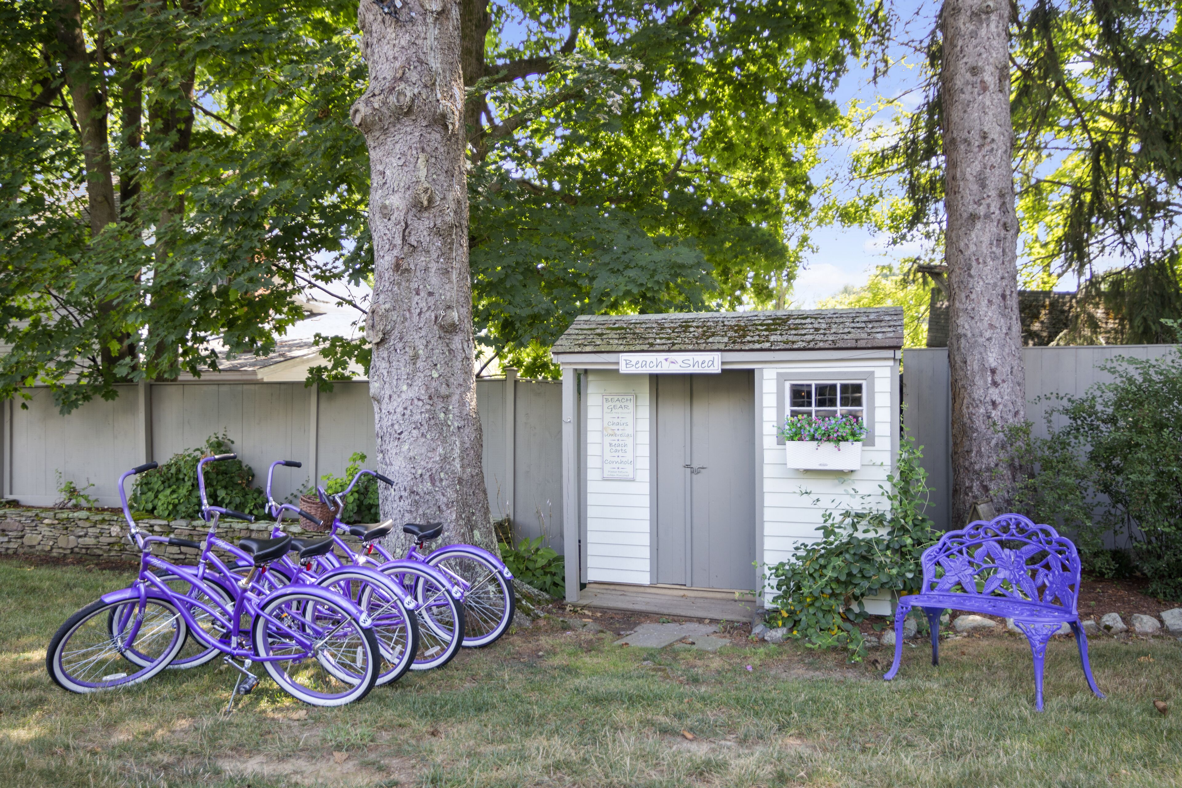 A small shed labeled "Beach Shed" with a window and a door, surrounded by trees and a purple bench.