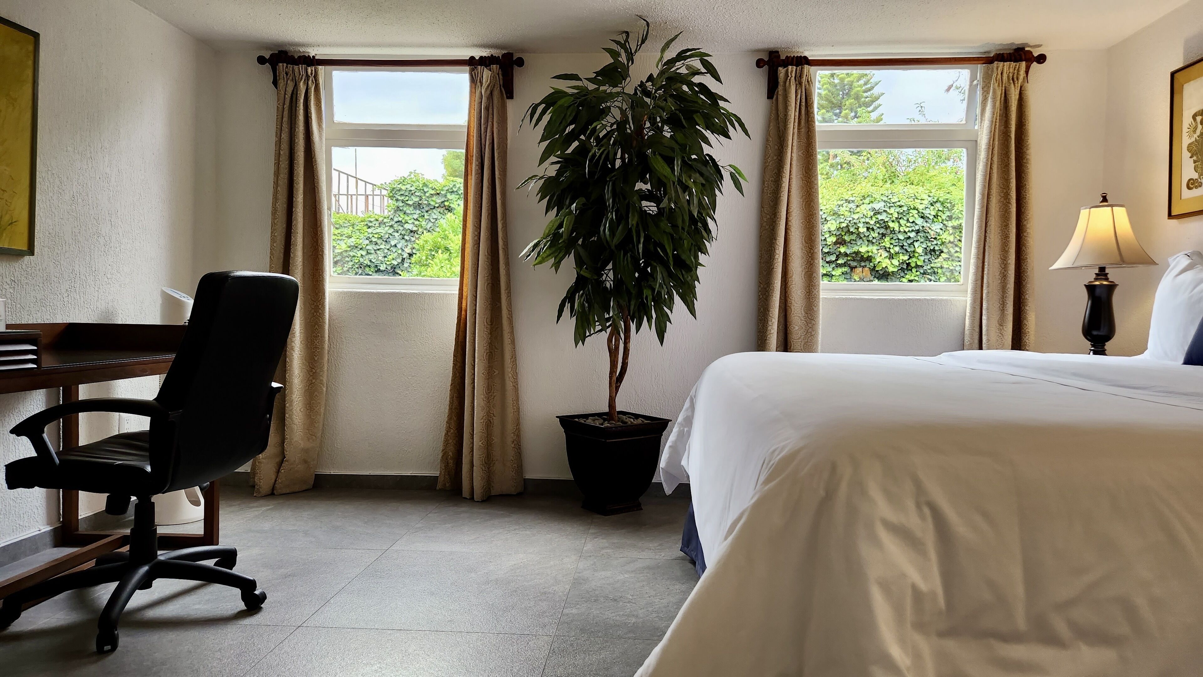 A hotel room with a bed, desk, chair, potted plant, and windows.