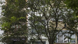 Uklassifisert bilde, 5 av 42, knapp