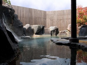 A rock pool with clear water, surrounded by large rocks and a wooden fence in the background. - Kirishima Miyama Hotel (Kirishima)