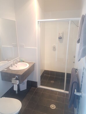 Shower, free toiletries, hair dryer, towels