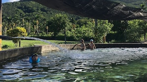 Sports facility - Breadfruit B&B (Guangfu)