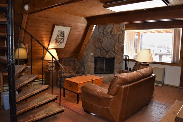 TV a schermo piatto, caminetto, lettore DVD